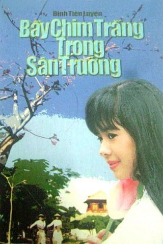 Bầy Chim Trắng Trong Sân Trường