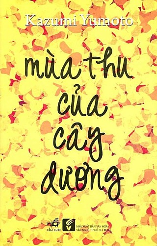 Mùa Thu Của Cây Dương